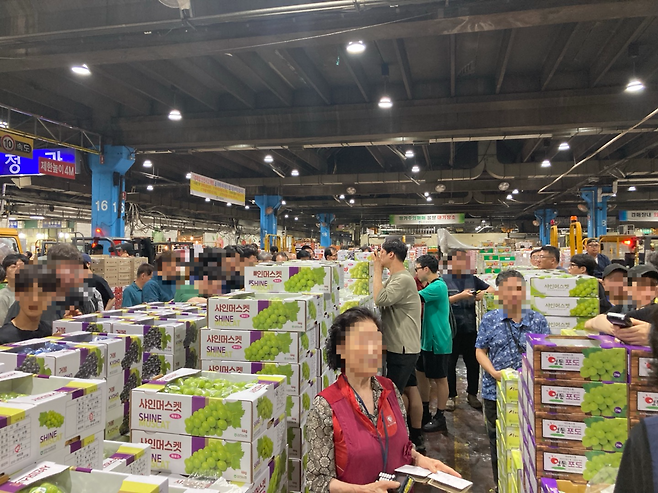 가락시장에서 중간도매상인들이 경매에 참여하고 있다. 손인규 기자