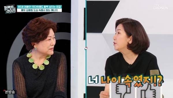 TV조선 ‘퍼펙트라이프’ 캡처