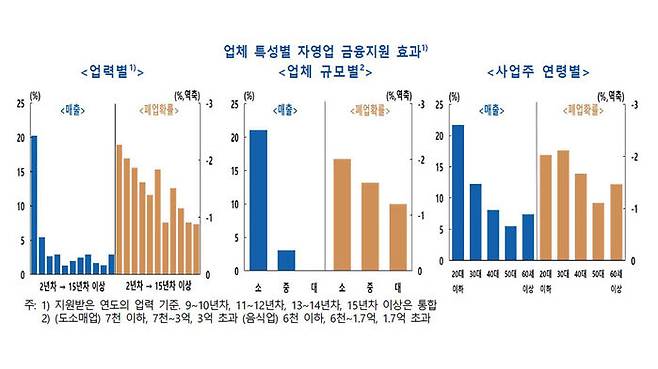 자영업 금융지원 효과