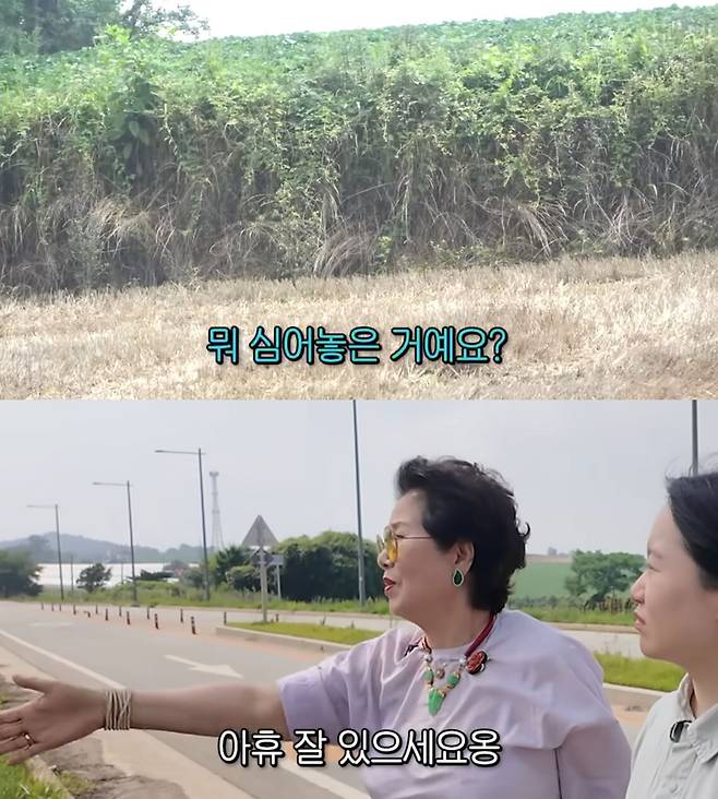 유튜브 채널 ‘순풍 선우용여’ 캡처