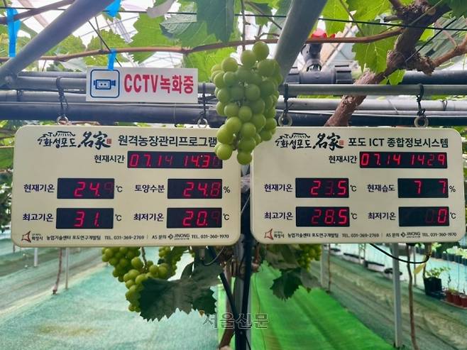 온습도 정보 등이 표시된 ‘포도 정보통신기술(ICT) 종합정보시스템’.