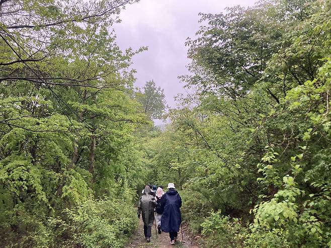우비 입고 트레킹에 나선 사람들. 사진제공|승우여행사