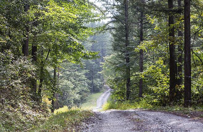 홍천 행치령옛길. 사진제공|승우여행사