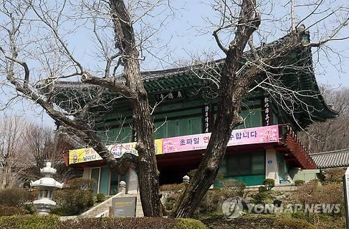 천안 광덕사 호두나무 (천안=연합뉴스) 한종구 기자 = 충남 천안시 광덕면 광덕사 앞 마당에 심어져 있는 천연기념물 제398호 광덕사 호두나무. 2015.3.30    jkhan@yna.co.kr
(끝)