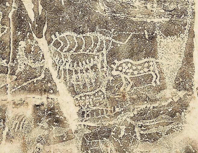 대곡리 반구대 암각화 탁본 세부모습 (표범 등). 동국대박물관 제공