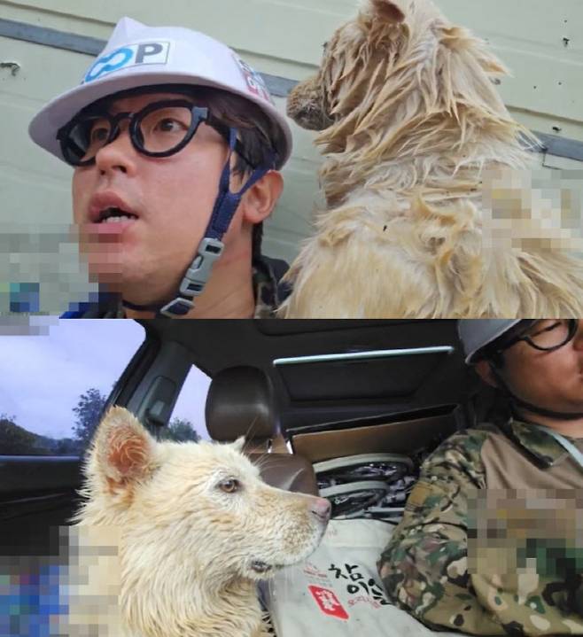 사진=숲 채널 '애견'