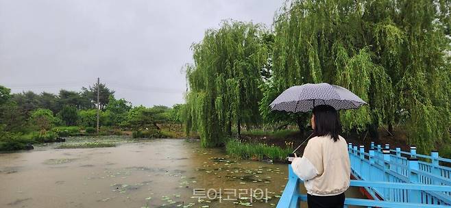 금세기정원
