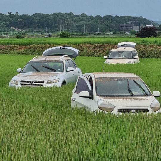 18일 물이 빠진 참사 현장. 사고 차량이 농경지에 박혀 있다. 김성환 기자