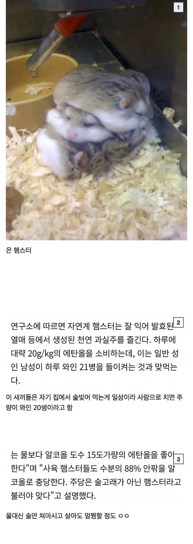 1000143984.jpg 의외로 동물계 주량 원탑 생물.