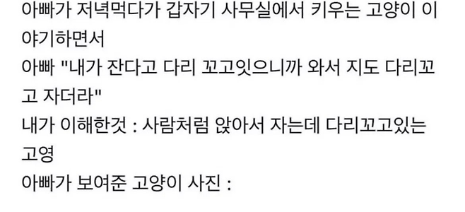 image.png 아빠 사무실에서 키우는 고양이