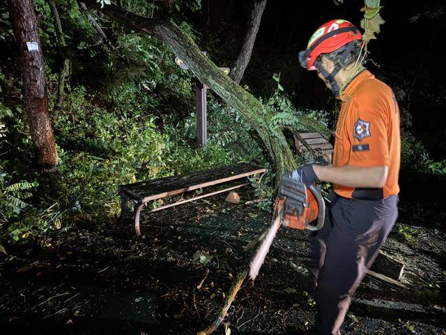 경북 구미소방서의 한 대원이 18일 구미시 일대 토사 유출로 쓰러진 나무를 체인 톰으로 수습하고 있다. 경북소방안전본부 제공