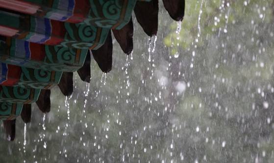 Streams of rainwater pour from the eaves of Gyeonggijeon Shrine in the Jeonju Hanok Village in North Jeolla as a heavy rain advisory is issued across the province on July 17. [NEWS1]