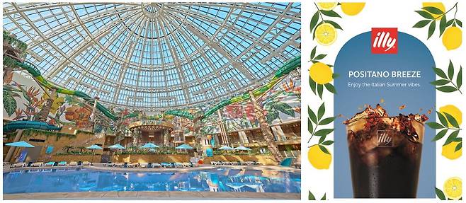 사진제공=일리카페