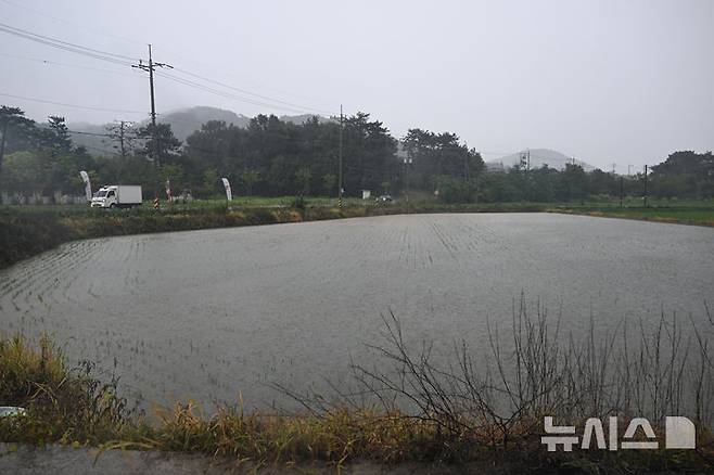 [광주=뉴시스] 박기웅 기자 = 사진은 호우경보가 내려진 지난 17일 오후 광주 서구 서창동 서창교 인근 논이 쏟아진 비에 침수돼 있는 모습. 2025.07.17. pboxer@newsis.com