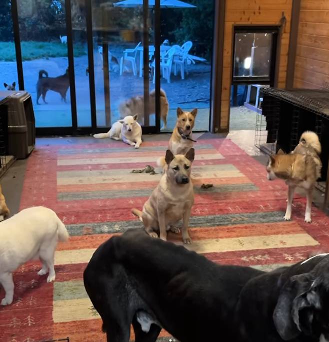 [완즈프리 인스타그램 캡처]