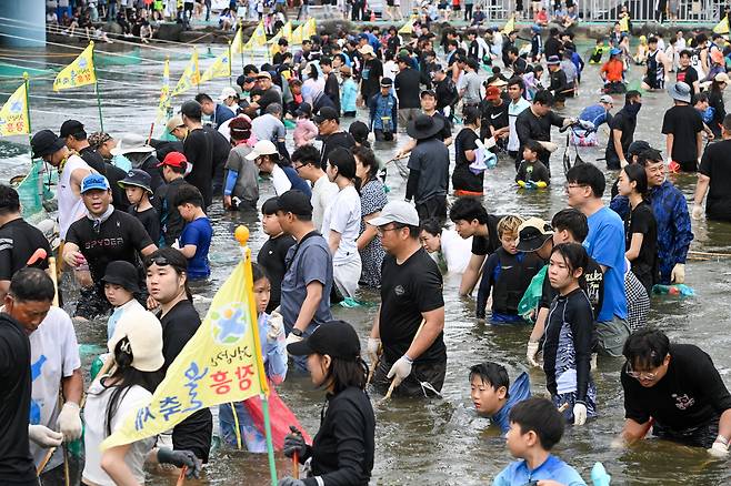 황금물고기 잡기.