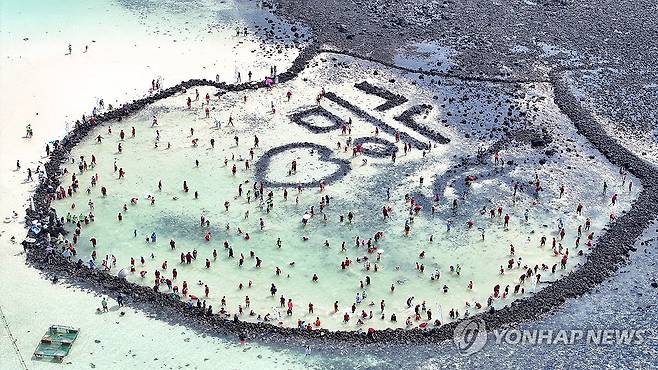 금능 원담축제 맨손 고기 잡기 [연합뉴스 자료 사진]