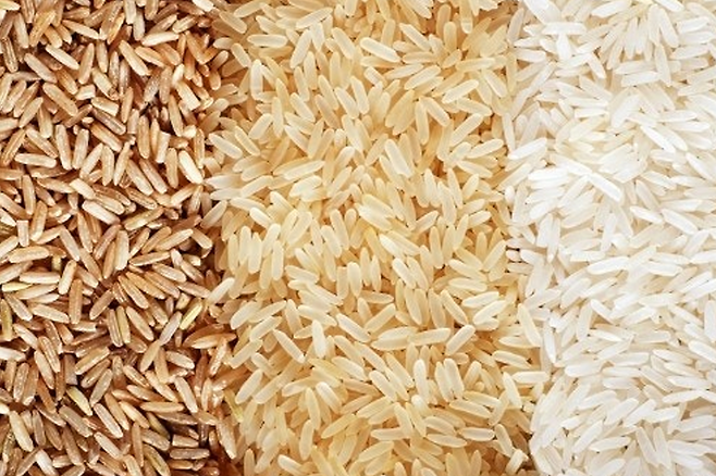 쌀 종류