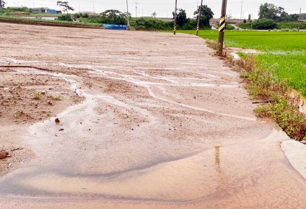 19일 오전 전남 무안군 해제면 한 농경지가 빗물에 잠겨있다. /연합뉴스