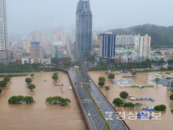 19일 울산지역에 호우경보가 발효되는 등 많은 비가 내린 가운데 &nbsp;울산시 남구 &nbsp;태화교 인근 둔치가 물에 잠겨 있다. 독자 최재훈 제공