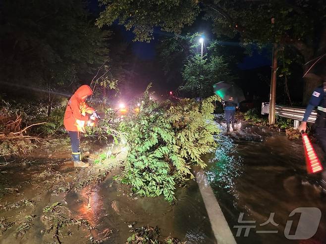 19일 오전 전남 보성군 복내면의 한 도로에서 소방대원들이 집중호우로 인해 쓰러진 나무를 수습하고 있다.(전남소방본부 제공. 재판매 및 DB 금지) 2025.7.19/뉴스1 ⓒ News1 최성국 기자