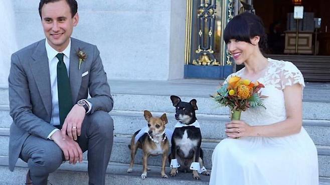 결혼식 날의 질리안과 남편, 검은색 강아지가 최근 세상을 떠난 반려견 '루퍼스'. /사진=ABC7 News