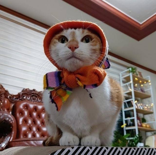 instagram@realstraykids