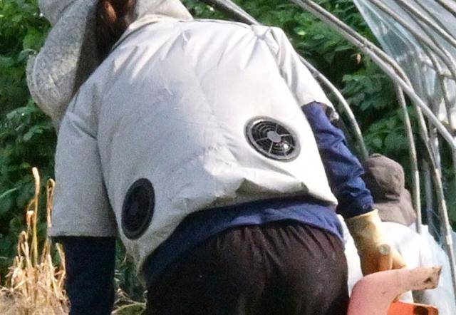 지난 9일 오후 경기 포천시의 한 비닐하우스 농가에서 이주노동자가 선풍기가 내장돼있는 옷을 입고 일을 하고 있다. 포천=최주연 기자