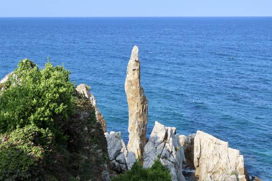 강원도 동해시 추암해변의 촛대바위. 애국가 1절의 배경으로 유명하다. 석회암인 촛대바위는 풍화로 인해 안전진단을 받은 적도 있다. 김홍준 기자