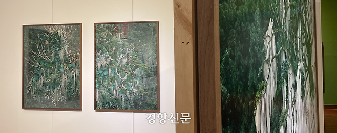 동강사진상 수상자 원성원 작가의 작품들. 김창길 기자