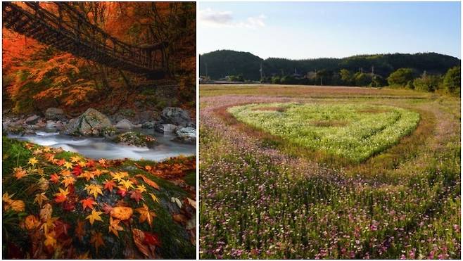 사진= 도쿠시마 관광사무소