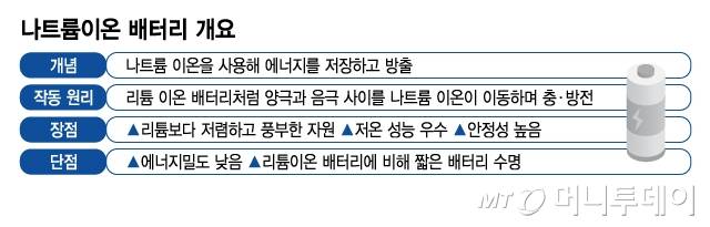 나트륨이온 배터리 개요/그래픽=김지영