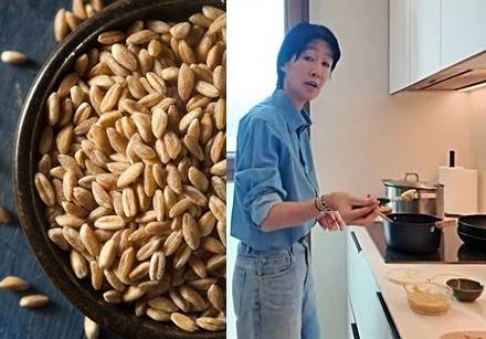 파로(왼쪽), 파로밥을 소개하는 홍진경 [123RF, 유튜브]