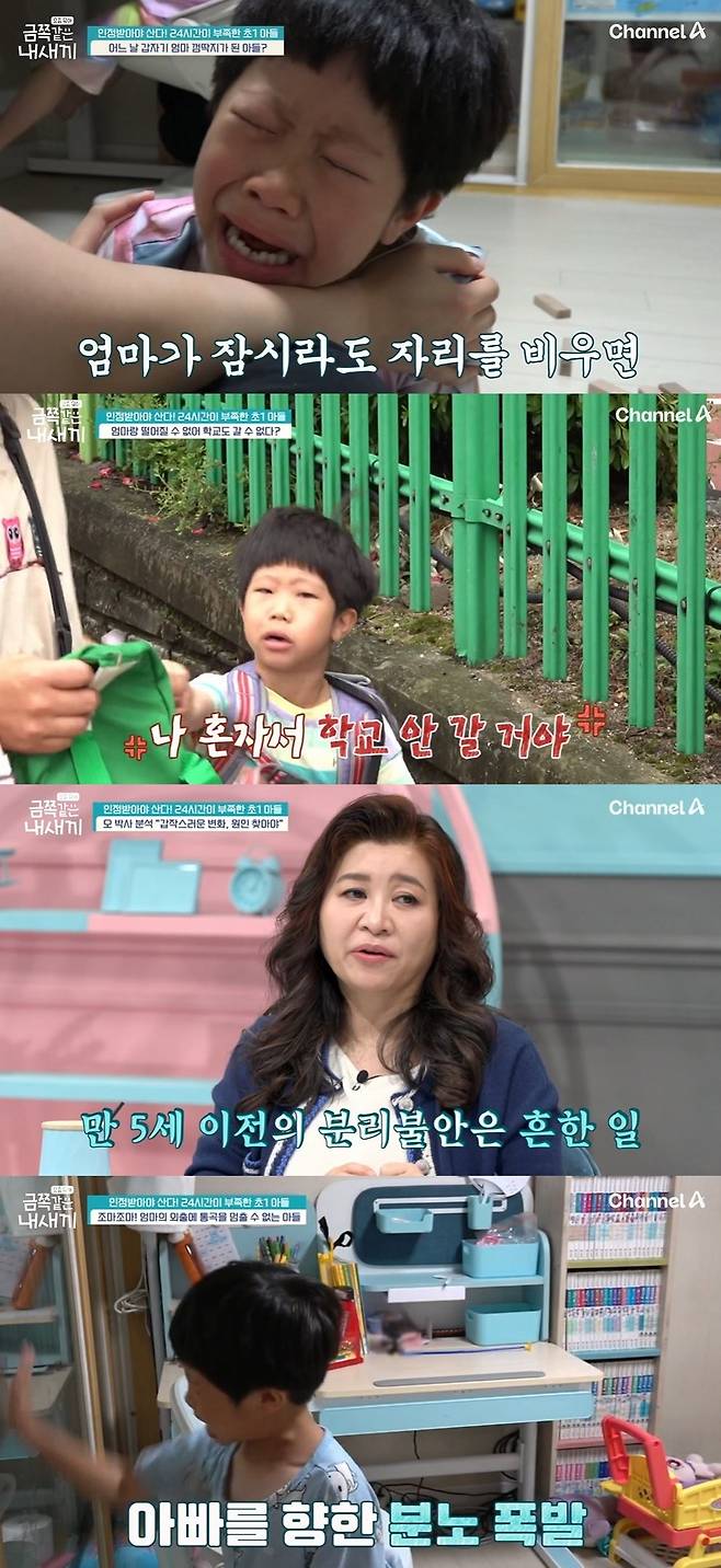 채널A 예능 ‘요즘 육아-금쪽같은 내 새끼’
