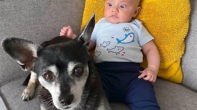 루퍼스와 질리언의 아기 [ABC7 News]