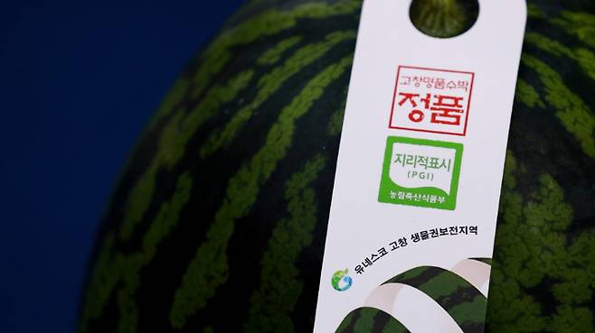지리적표시 등록 농산물 고창수박. 노컷TV 캡처
