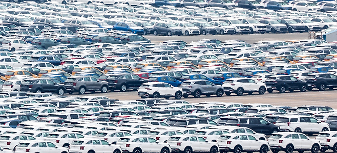 ▲평택시 포승읍 평택항에 수출용 자동차들이 세워져 있는 모습. /전광현 기자 maggie@incheonilbo.com