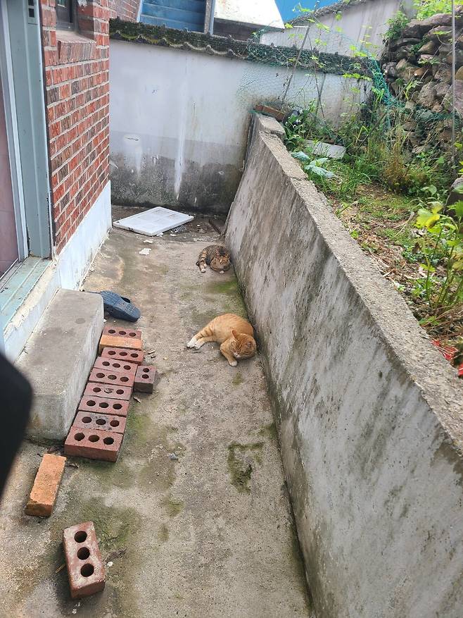 열심히 사시고 귀농하신 부모님 본가 자랑
