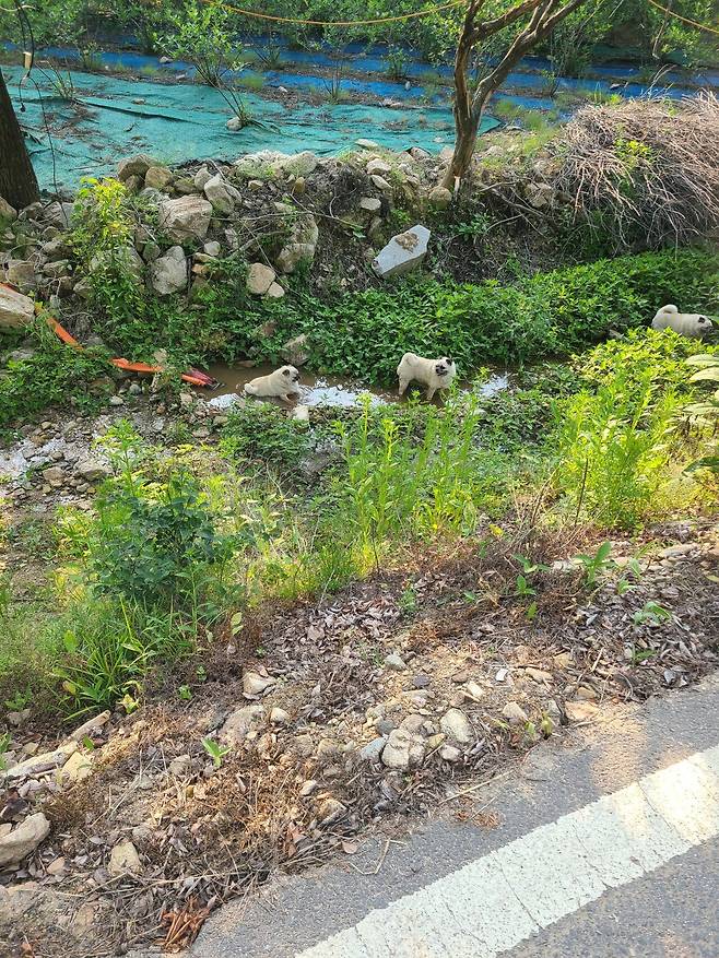 열심히 사시고 귀농하신 부모님 본가 자랑