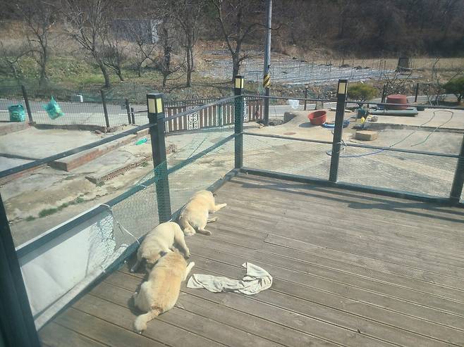 열심히 사시고 귀농하신 부모님 본가 자랑