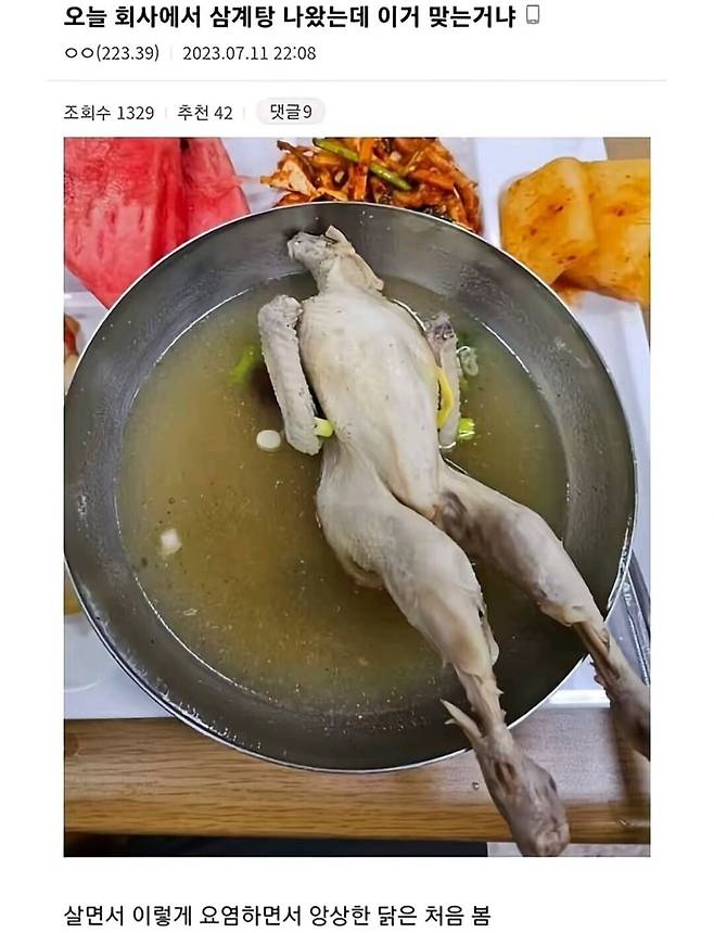 어느 중소기업 복날에 나온 삼계탕 퀄리티