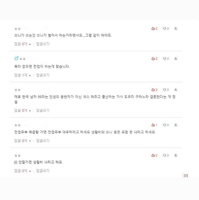 남편이 외벌이면 집안일 다해?