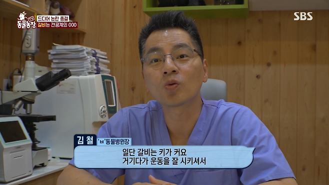 image.png 반려견 돼지 만들어 놓고 비만 아니라고 우기는 여자.jpg