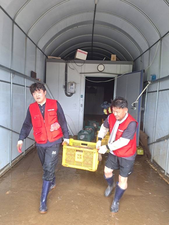 국민의힘 소속 김강진·권오중 시의원이 수해 복구 현장에서 구슬땀을 흘리고 있다 [사진=독자]