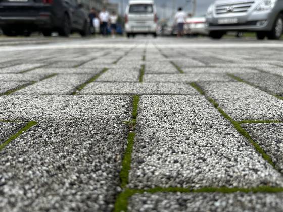 서울시 송파구 풍납동의 한 이면도로에 설치된 투수블록. 천권필 기자