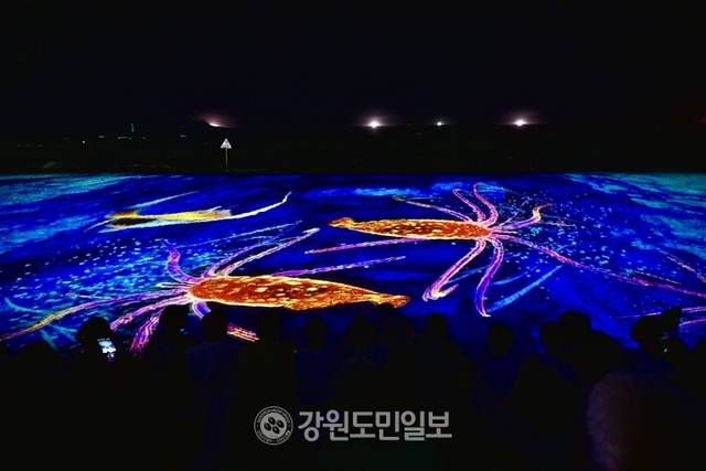 ▲ 속초 명물 오징어가 모래사장에 미디어아트로 그려져 감탄사를 자아냈다.