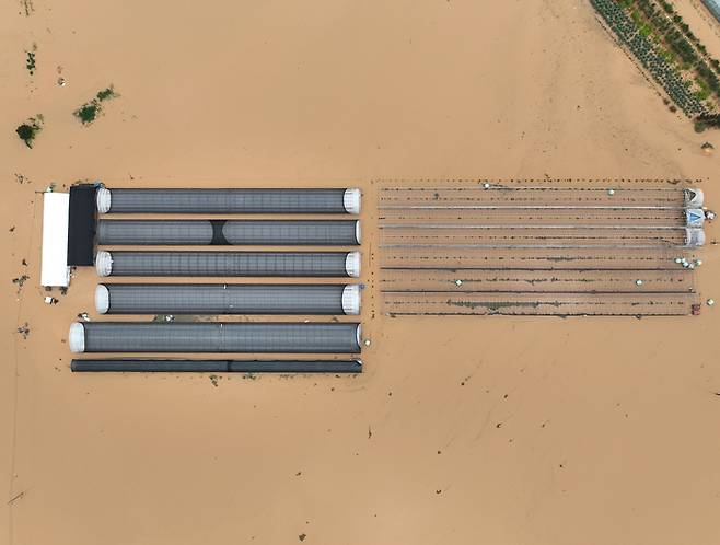 17일 충남 예산군 삽교읍 수촌리 일대 논과 비닐하우스가 폭우로 침수돼 있다. 2025.7.17
[사진 = 연합뉴스]