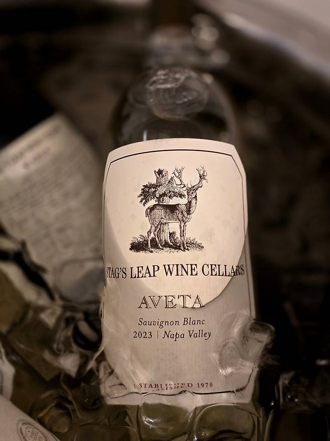 스택스 립 아베타. 최현태 기자