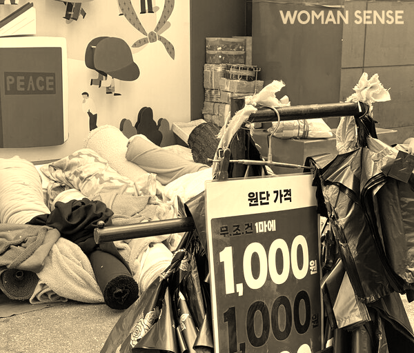 사진 박찬용 제공