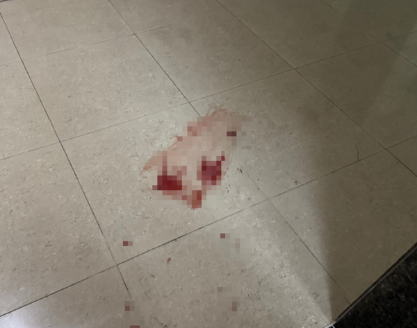 총기 사고가 발생한 인천 송도국제도시 한 아파트 엘리베이터에 피해자의 것으로 추정되는 혈흔이 묻어 있다. [사진=윤종환 기자]